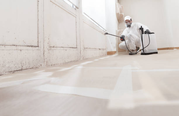 24/7 Emergency Mold Remediation experts in Fort Eustis, VA